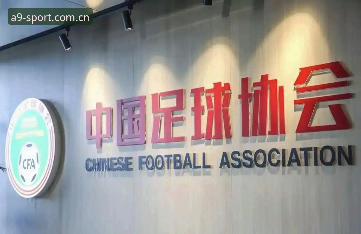 A9体育安全吗 中国足协第三批禁足名单最新动态:65人受罚,足坛反腐风暴再升级